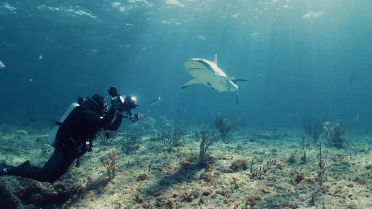 Frame from Andy Mann - Bimini